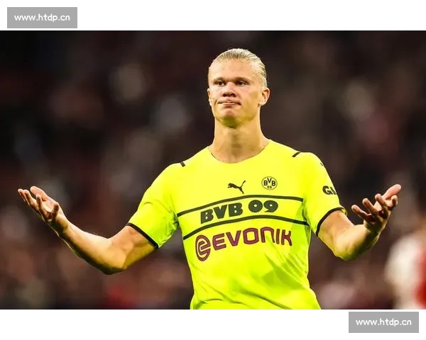 深度解读欧冠历史与当季数据透视豪门格局与黑马崛起轨迹与未来走势